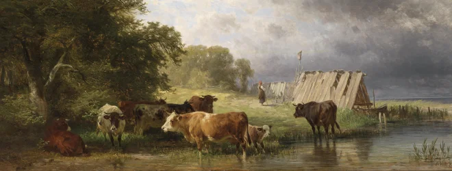Descanso del rebaño de vacas en la orilla del lago